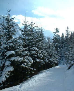 Rodelbahn Milderaun 01.jpg