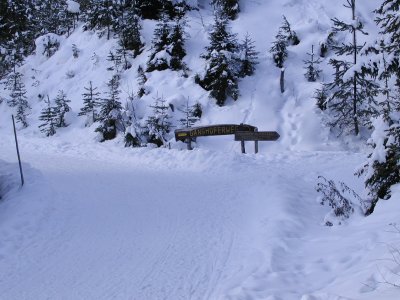 Rodelbahn Hämmermoosalm 01.jpg