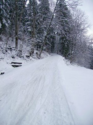 Rodelbahn Sonderdach 01.jpg