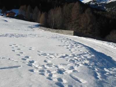 Rodelbahn Stockerhof 02.jpg