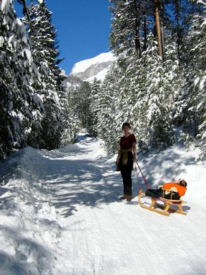 Rodelbahn Strassberg 01.jpg