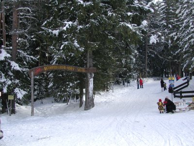 Rodelbahn Hoher Sattel 01.jpg