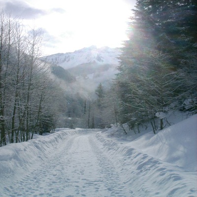 Rodelbahn alt baernbad 01.jpg