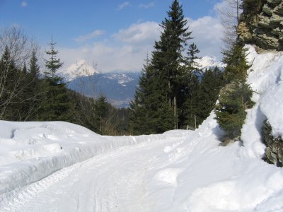 Rodelbahn Götzner Alm 03.jpg