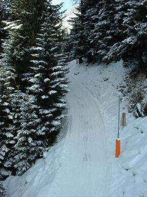 Rodelbahn Elfer Vorne 01.jpg