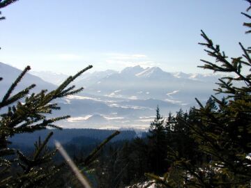 Rodelbahn Hinterhorn Alm 01.jpg