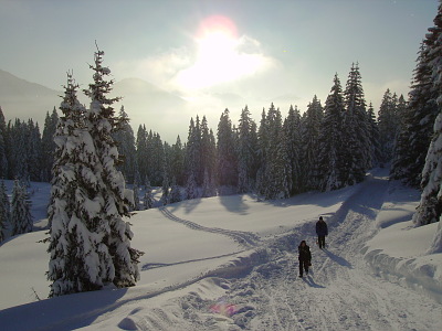 Rodelbahn Laterns 01.jpg