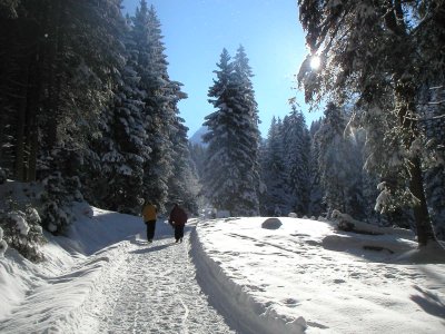 Rodelbahn Kelchalm 01.jpg