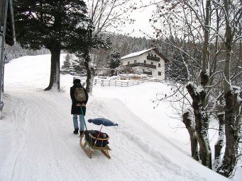 Rodelbahn Scheipenhof 02.jpg