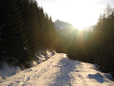 Rodelbahn Meißner Haus 02.jpg