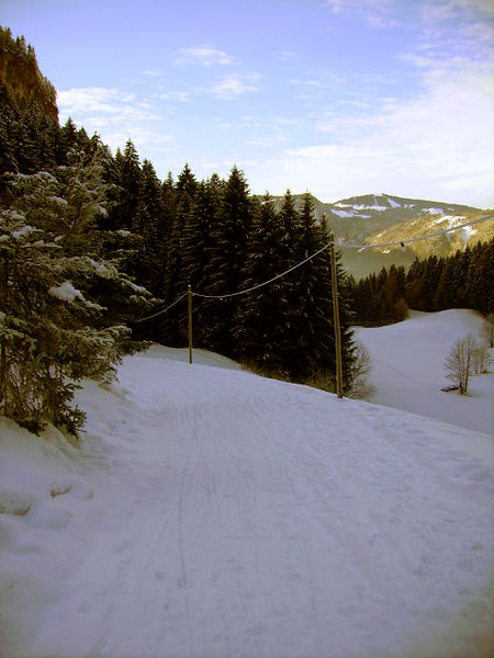 Datei:Rodelbahn Gschwend 2008-12-09.jpg