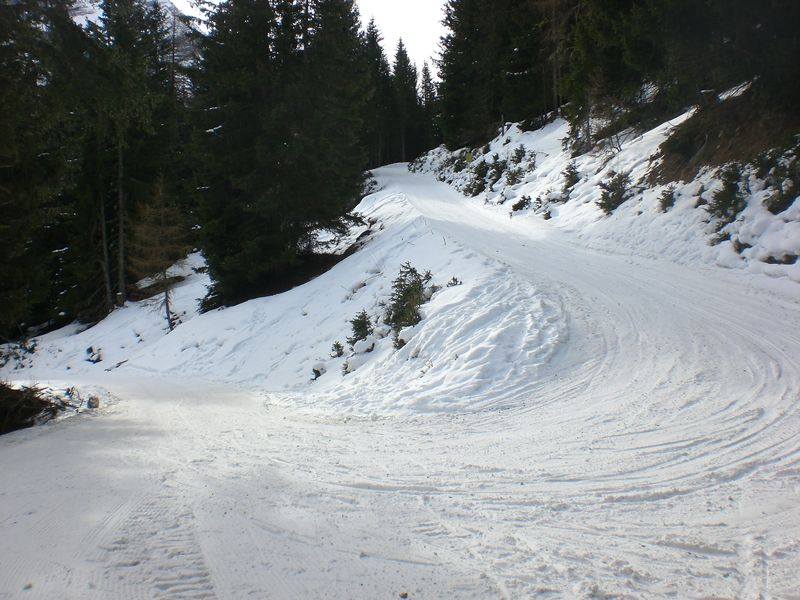 Datei:Rodelbahn Elfer Pinnistal 20100124.JPG