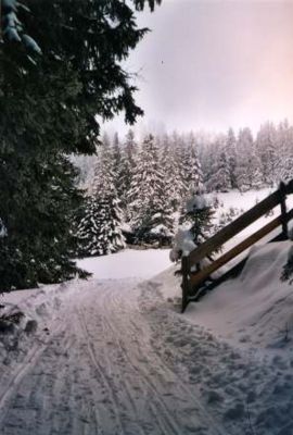 Gasthaus Mutterer Alm 01.jpg