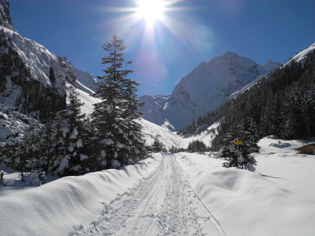 Winter im Pinnistal; aufgenommen bei der Pinnisalm.