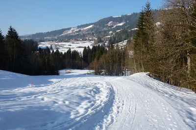 Rodelbahn Sibratsgfäll-Krähenberg 2011-03-02.jpg