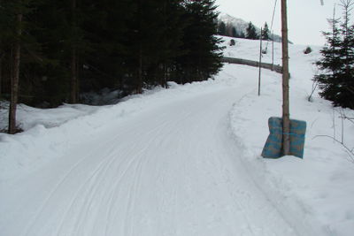 Rodelbahn Leppetal 2011-01-29 unterer Bahnbereich.JPG