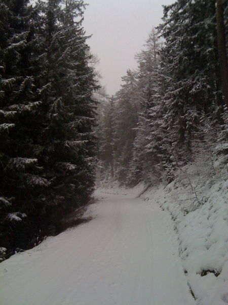 Datei:Rodelbahn Sonnenstein 2009-12-11.jpg