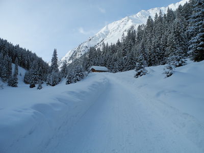 Rodelbahn Stadlalm 2014-01-28.JPG