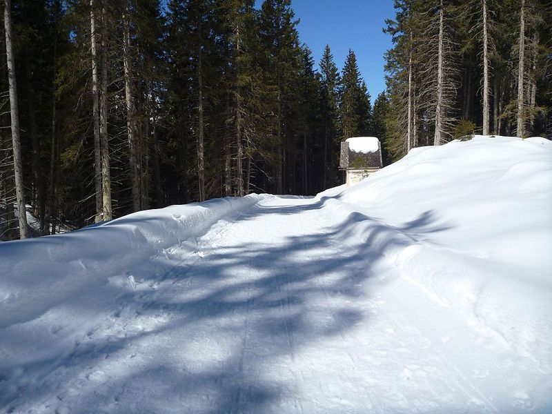 Datei:Rodelbahn Waldrastsattel Mitte 2014-03-09.jpg