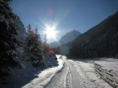 Rodelbahn Pinnistal 2009-12-20.jpg