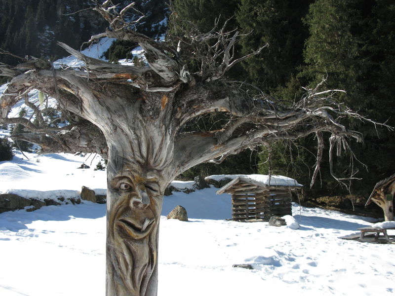 Datei:Rodelbahn Gleirschalm 2016-02-27 Baummann.jpg