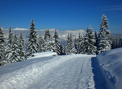 Rodelbahn Birgitzer Alm 2007-11-17.jpg