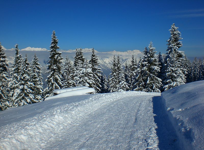 Datei:Rodelbahn Birgitzer Alm 2007-11-17.jpg