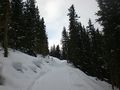 Vorschaubild der Version vom 14:54, 16. Mär. 2010