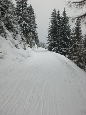 Rodelbahn Gerlosstein 20100212 ObererAbschnitt.jpg