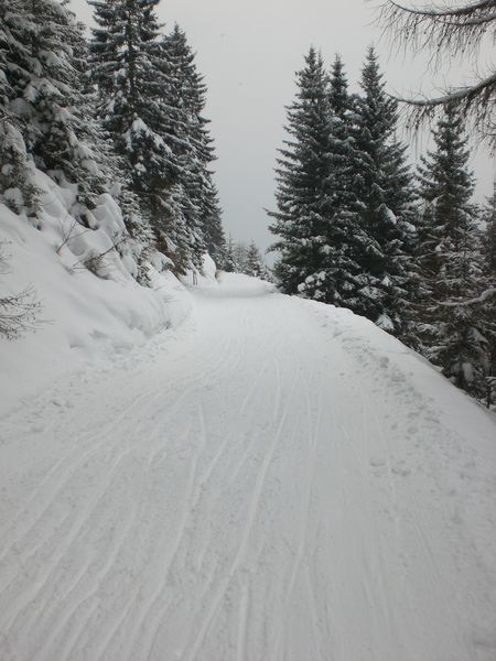 Datei:Rodelbahn Gerlosstein 20100212 ObererAbschnitt.jpg