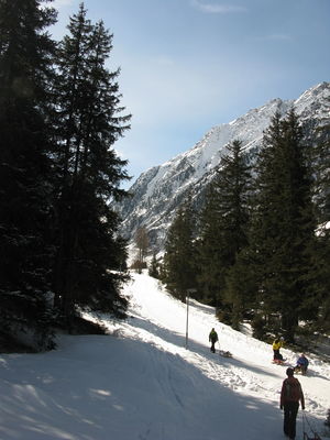 ... bis fast bis zur Zielhöhe zu gelangen, wo sich der Aufstiegsweg wieder mit der Rodelbahn vereint.