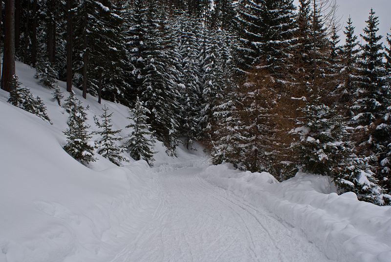 Datei:Rodelbahn Sistranser Alm (3).jpg