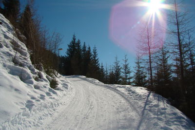 Rodelbahn Tilliachbachweg 2011-02-26.JPG