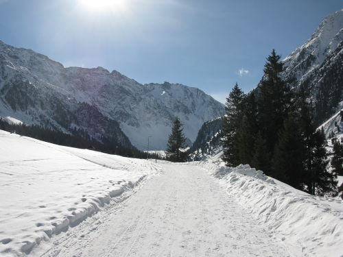 Nun kommt man in eine weitgehend waldfreies Hochtal mit Ausblick auf die umliegenden Berge.