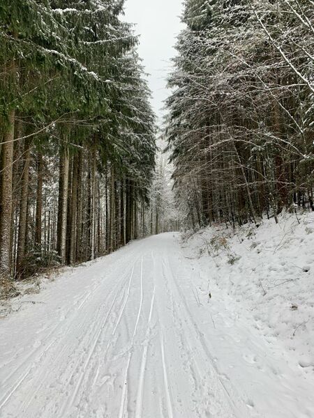 Datei:Rodelbahn Födinger Alm 2021-01-13.jpg