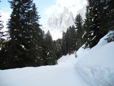 Rodelbahn Ranui - Geisler Alm 2014-03-05 Im oberen Abschnitt.JPG