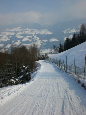 Rodelbahn Goglhof 20100212.jpg