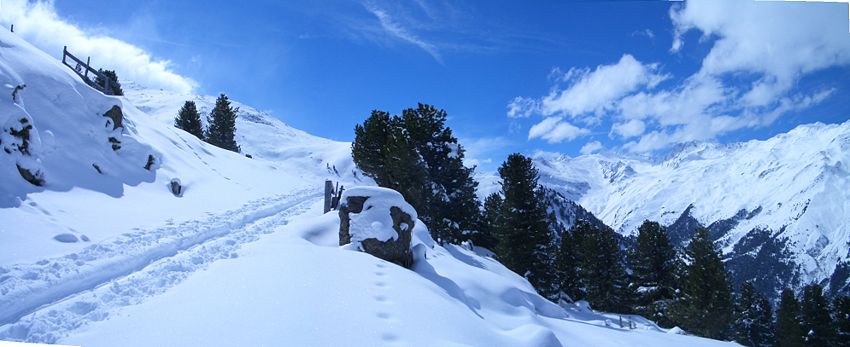 Gleich hinter der Hütte