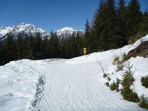 Zielpunkt der Rodelbahn: Geradeaus weiter gehts zur Rodelbahn Mieders, rechts zurück zur Bergstation der Gondelbahn.