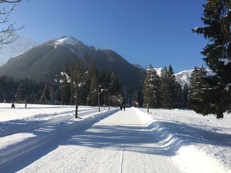 Vom Karwendelparkplatz führt die Rodelbahn ca. 3.3km sehr flach hinein bis zur Pletzachalm. Links oben unterhalb des Feilkopfs ist das Ziel. die Feilalm, schon zu erkennen.