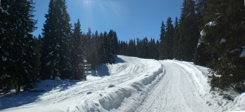 Hüttenboden auf halbem Weg zur BirgitzerAlm