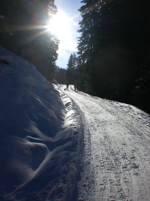 Rodelbahn Stöcklalm 20090105 Unterhalb Naviser Huette.JPG