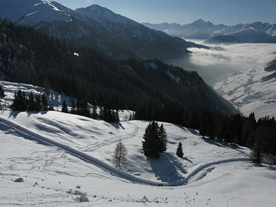 Rodelbahn Stöckl Alm 2009-01-31.jpg