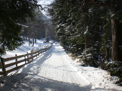 Rodelbahn Brunntal 2010-02-14 Oberer Abschnitt.JPG