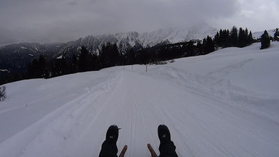 Rodelbahn Heinzenberg 2014-01-02.jpg