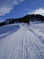 Vorschaubild der Version vom 20:58, 17. Jan. 2009