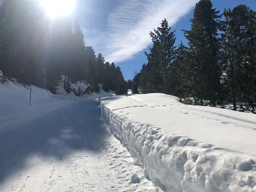 Rodelbahn Mölstal 2021-02-21 10.jpeg