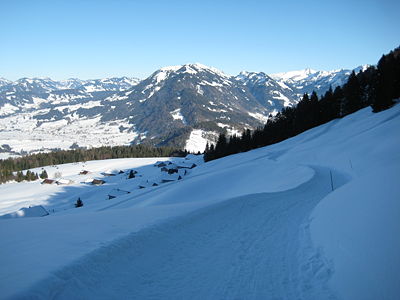 Rodelbahn Lustenauer Hütte 2009-02-28.jpg