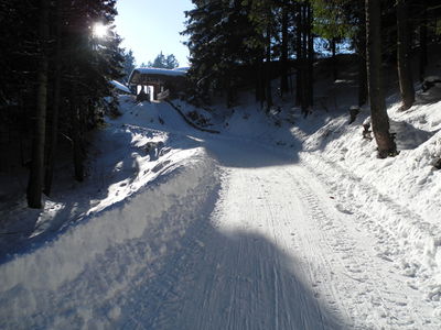 Rodelbahn Koglmoos 2013-02-14 Start.JPG