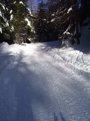 Rodelbahn Prantner Alm 2014-01-08.JPG